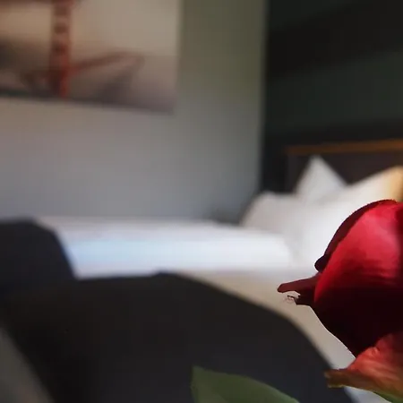 住宿加早餐酒店 Garni Am Schloss Kottenheim